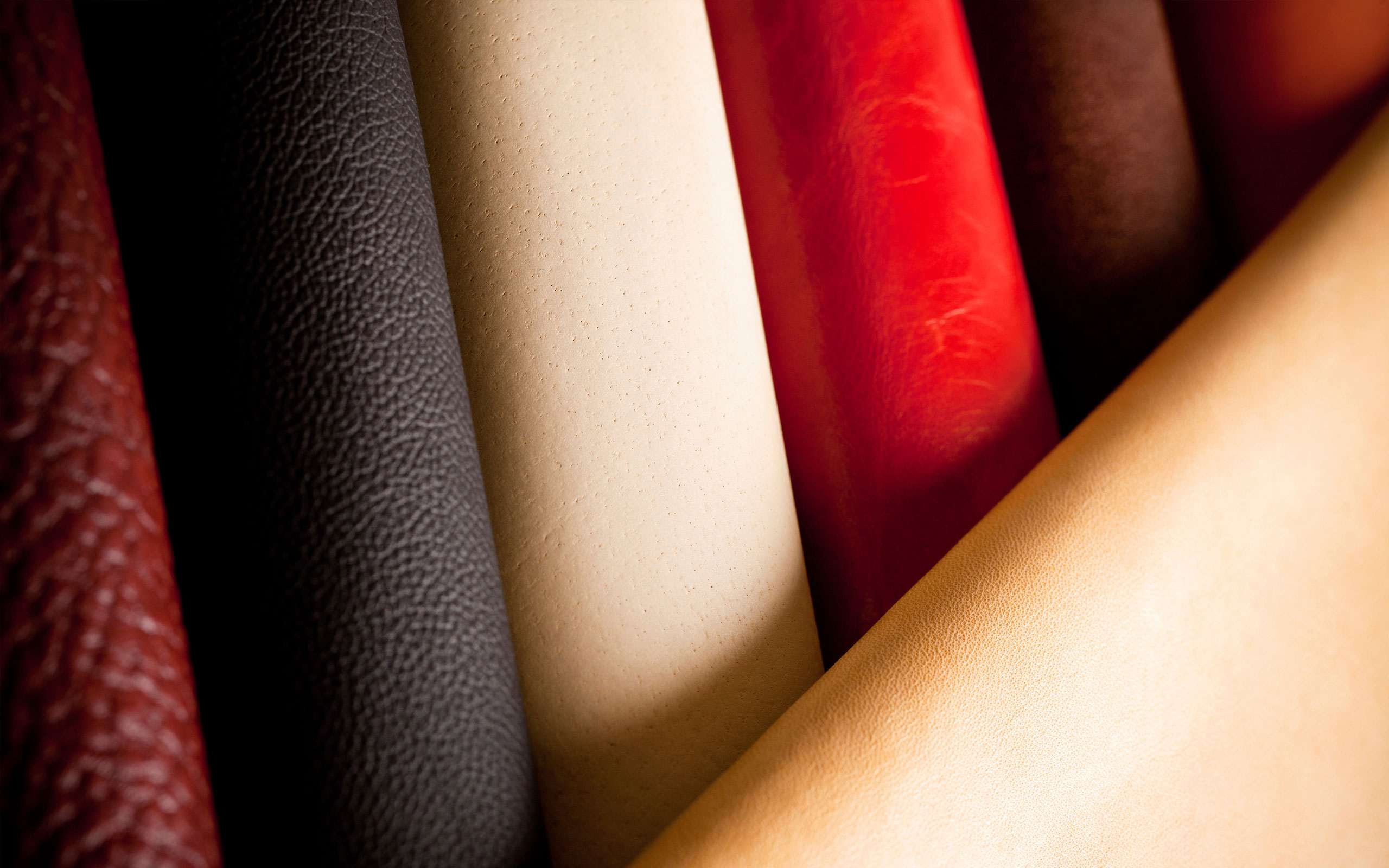 Solutions Technologiques de France